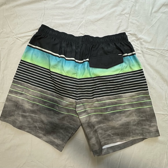 Men’s Swim Trunks - Picture 2 of 4